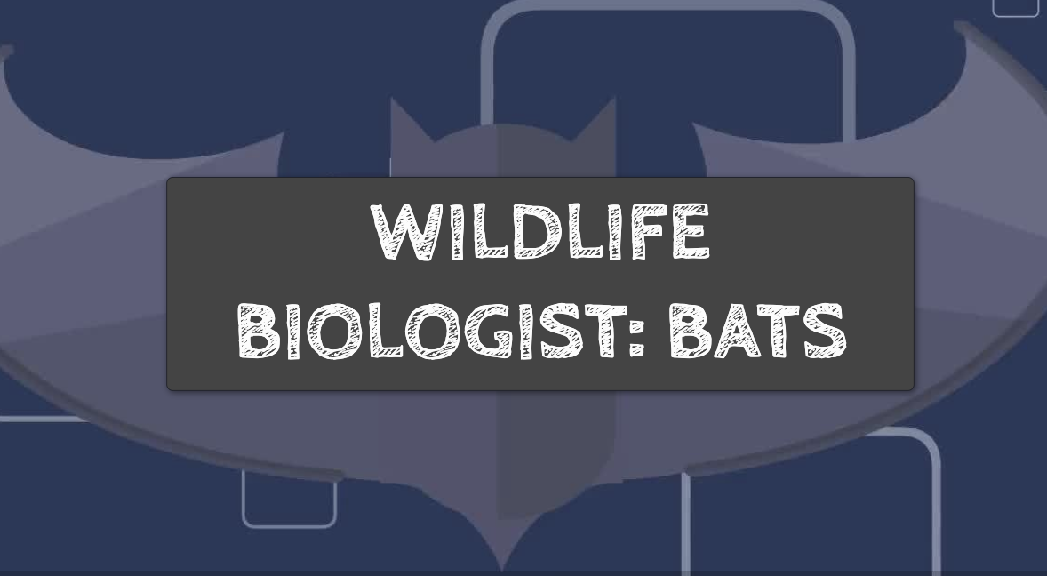 Screenshot 2022-12-15 at 4.17.40 PM